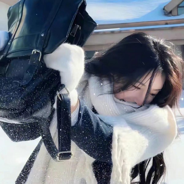 大口仔征西